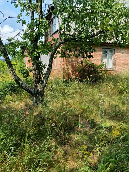 Продам земельну ділянку