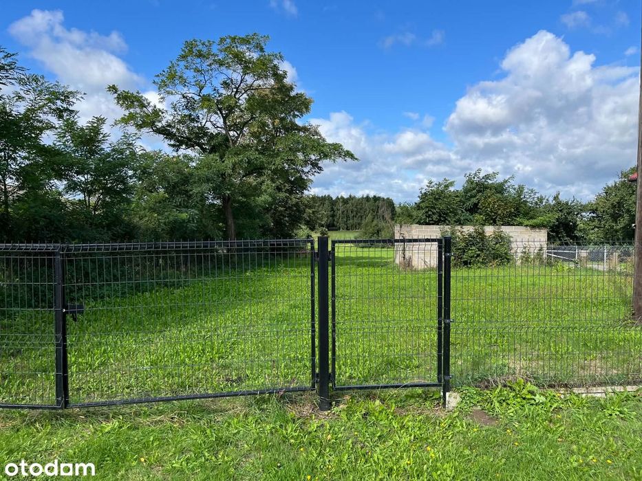 Działka rolno-budowlana 3000 m² z WZ – Janówek, gm. Wierzbno - Widok 2