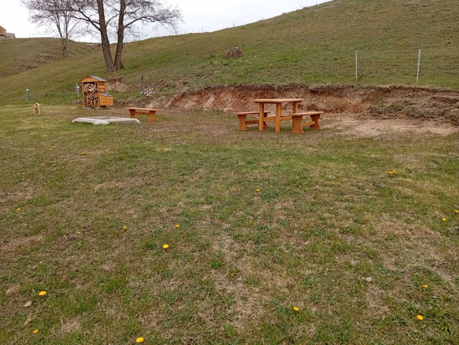 Domek nad jeziorem Rospuda z linią brzegową na WAKACJE
