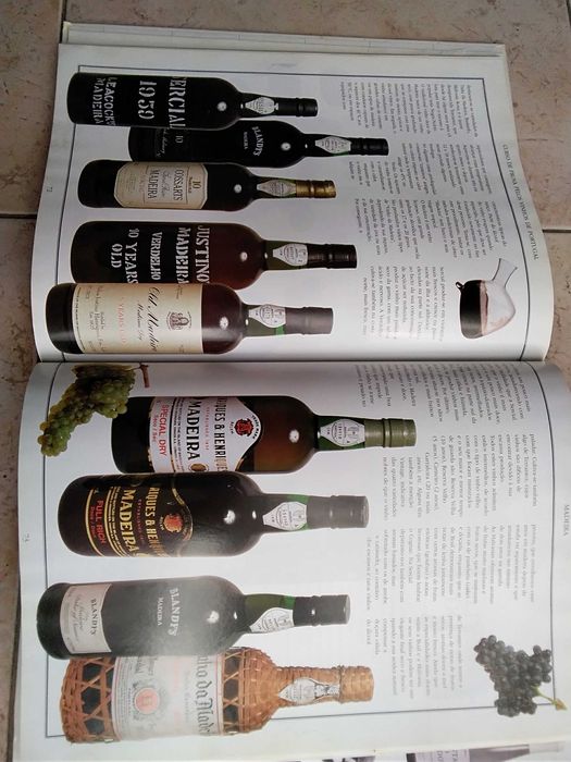 Guia de Prova de Vinhos