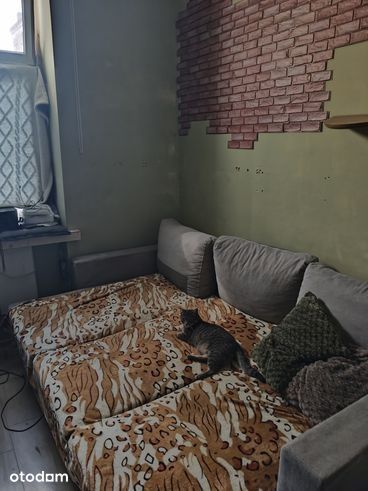 Kawalerka za odstępne oferta na czas nieokreślony