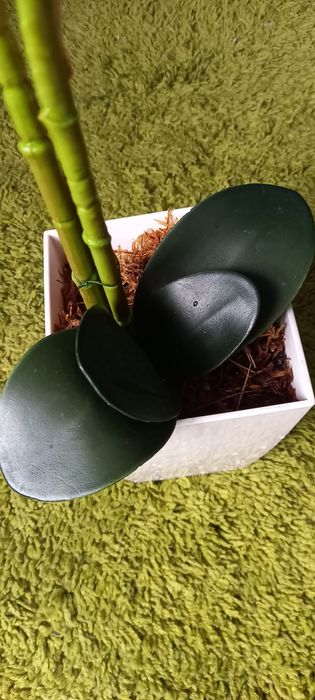 Sztuczny Storczyk w doniczce duży 72cm biały