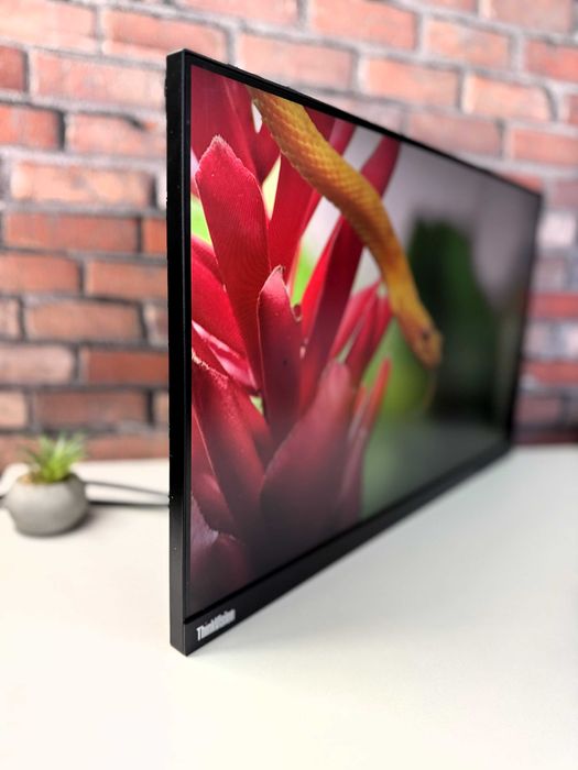 30 ШТ·Монітор Lenovo ThinkVision P24q-10·2K·LED·IPS·БЕЗ ПІДСТАВКИ·24"