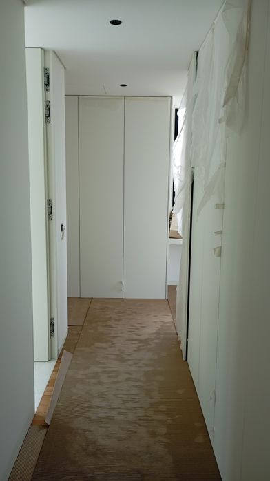 Clean Carpenter490161378742118402