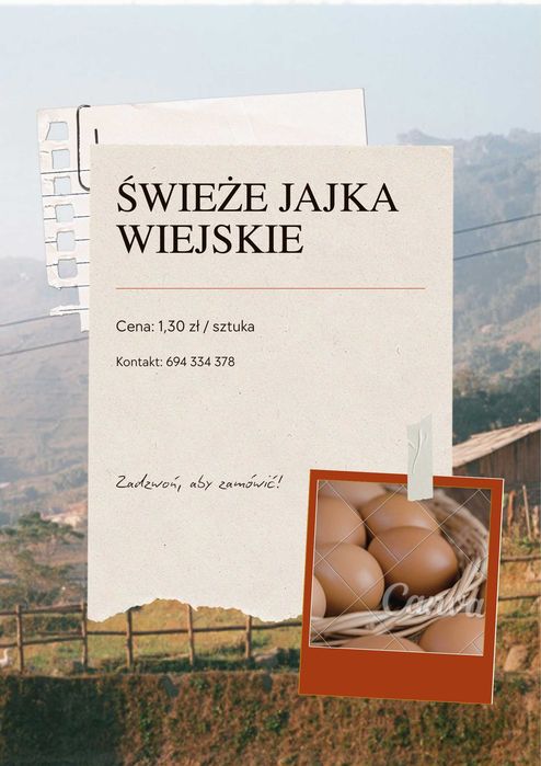 Sprzedam świeże jajka wiejskie