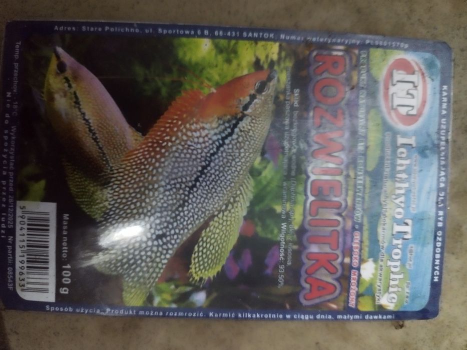 Rozwielitka blistry 100 g