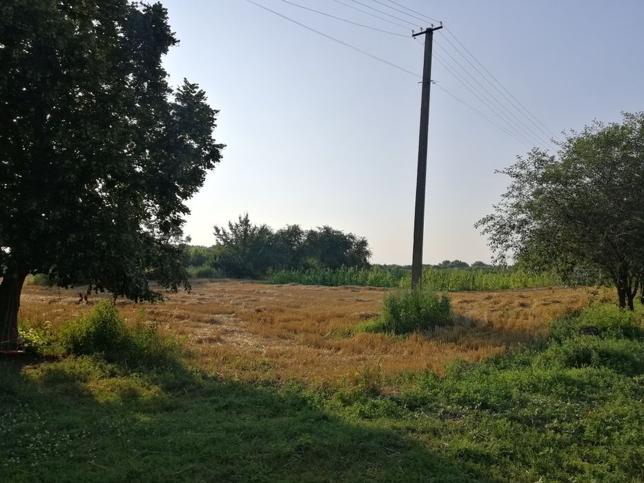 Продам дві суміжні земельні ділянки 0.23+0.27=0.50га. м.Яготин 4км.від