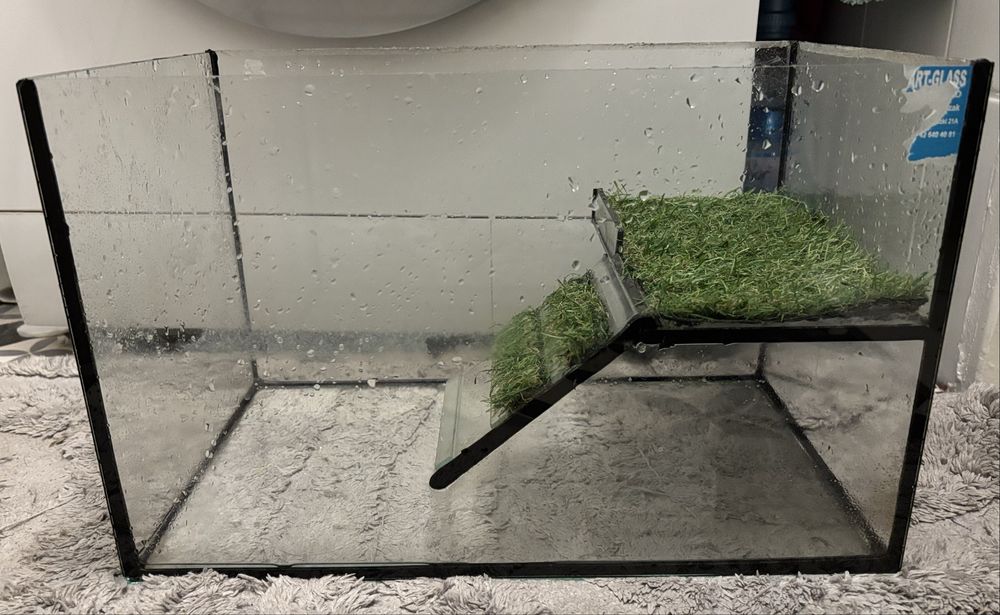 Akwarium 25L  (z wyspą) + filtr gratis, cena do negocjacji