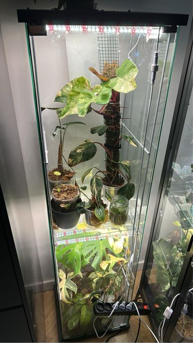 Witryna Ikea detolf