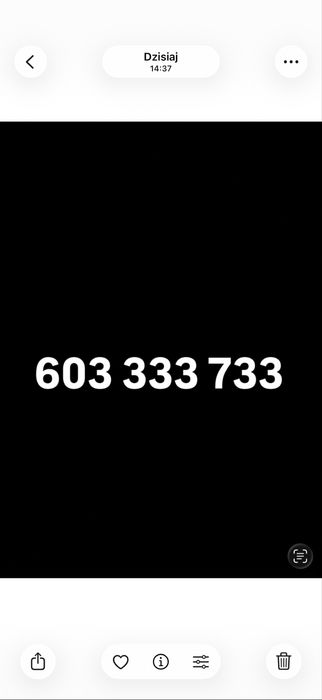 Złoty numer vip 603 333 X33