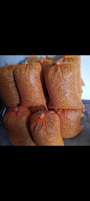 Amendoa de Valpaços