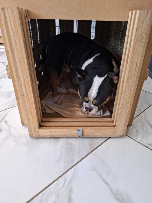 Caixa em Madeira Nº 6 para transporte da cães em avião