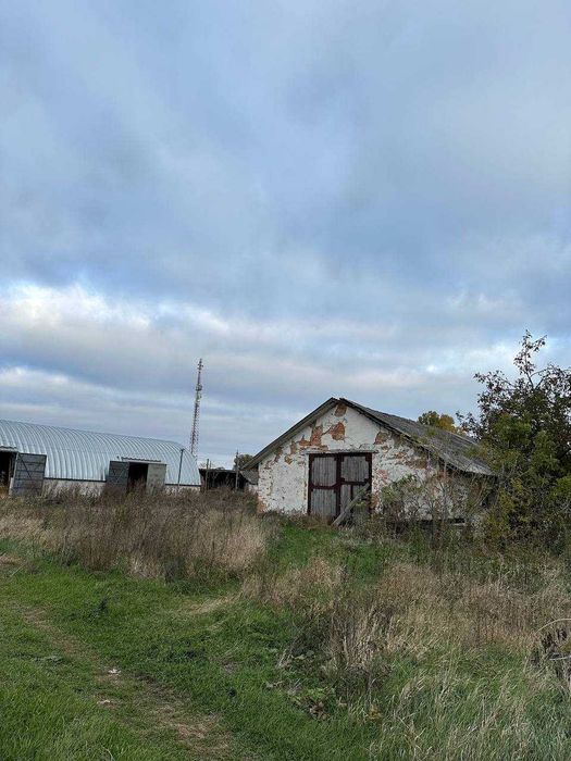 Телятник з земельною ділянкою