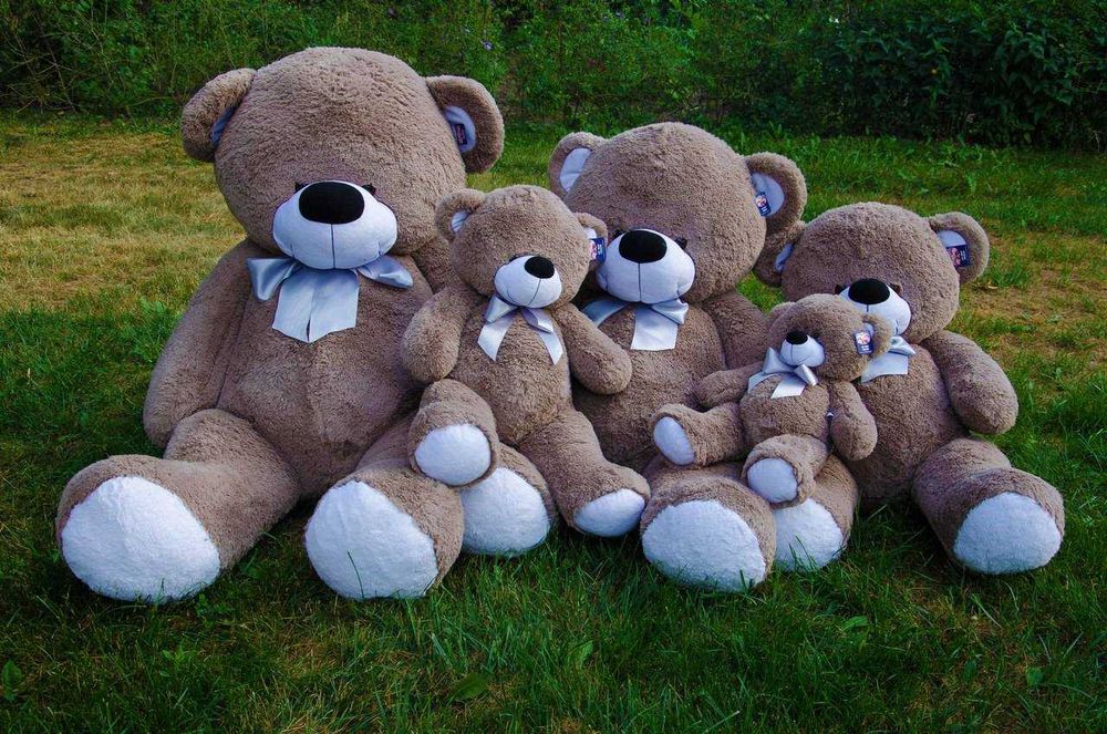 Великий плюшевий ведмедик Бойд 200 см.