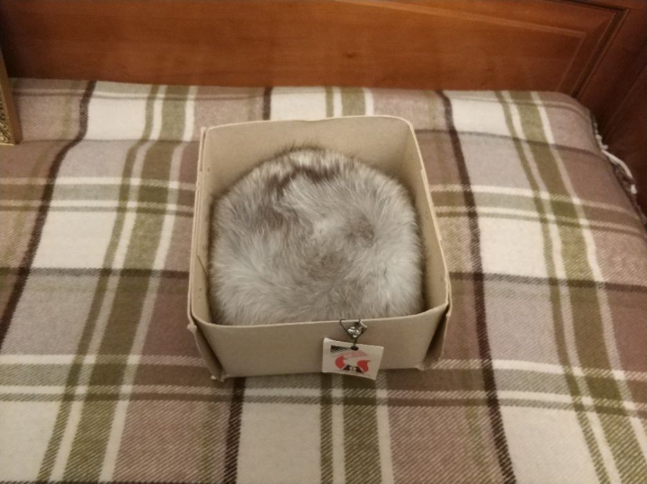 Шапка женская из песца.