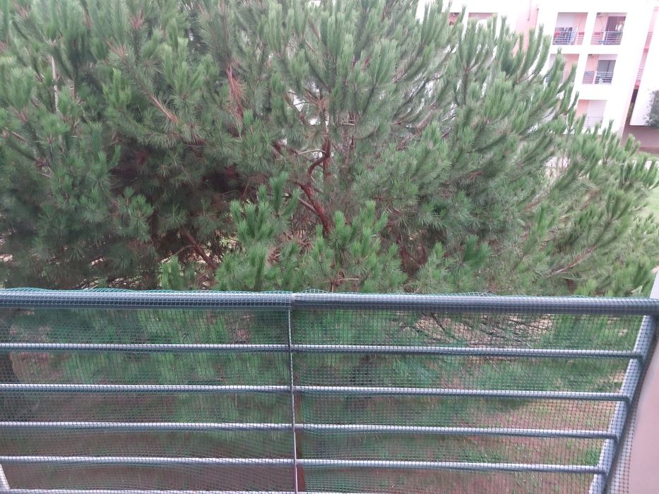 Rede Protecção de  varanda ou outros