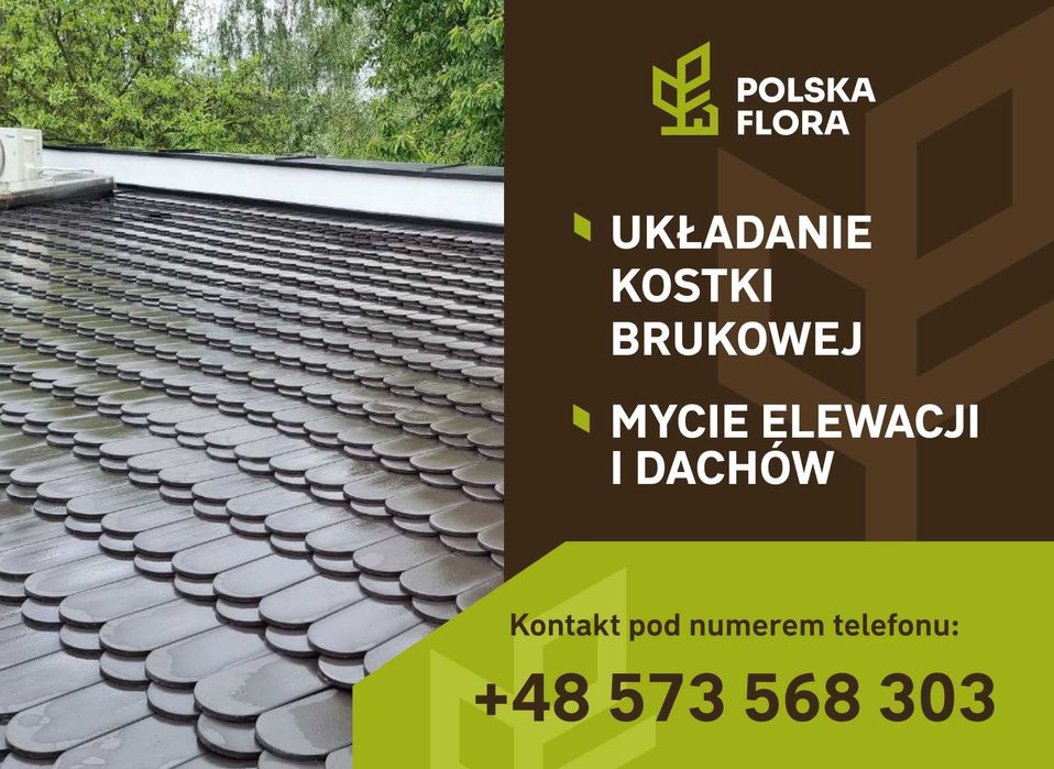 Mycie kostki brukowej wycinka, pielęgnacja drzew. BEZPŁATNA WYCENA