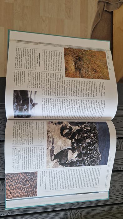 Livro Onde A Terra e o Mar se Encontram
