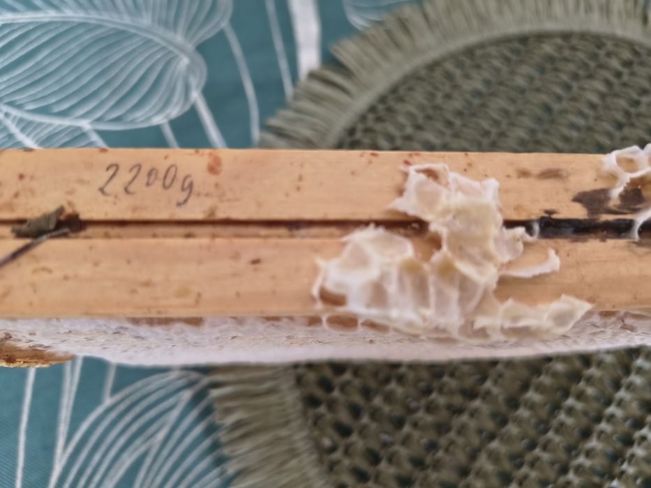 Plaster miodu ...