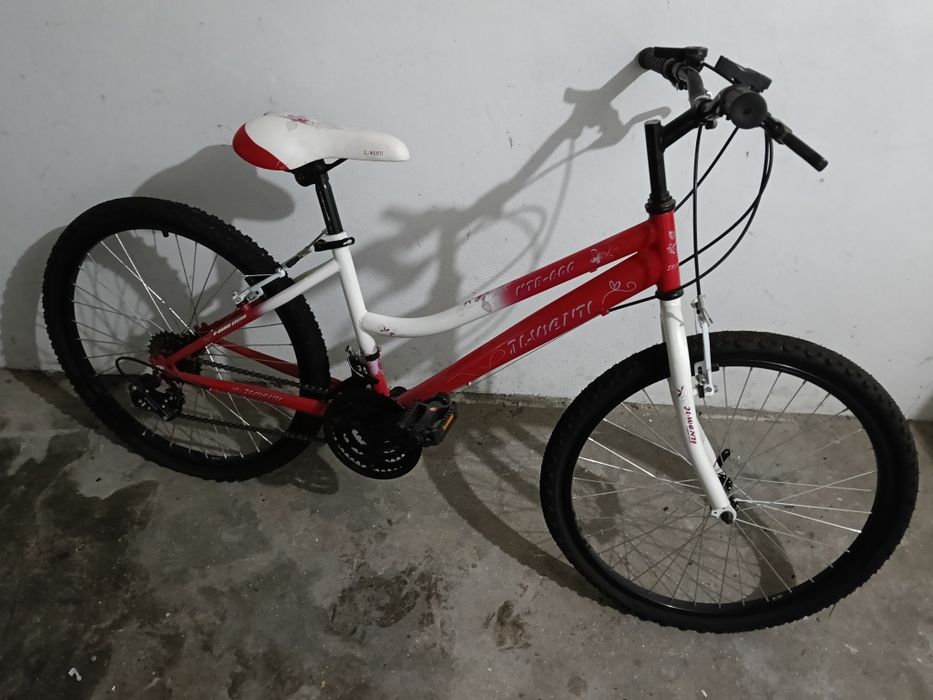 Bicicleta JL-WENTI