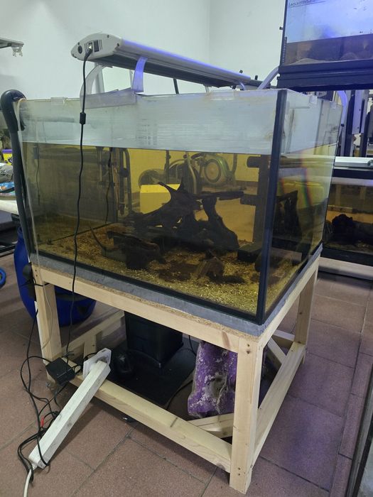 Aquário Cubo com Estrutura