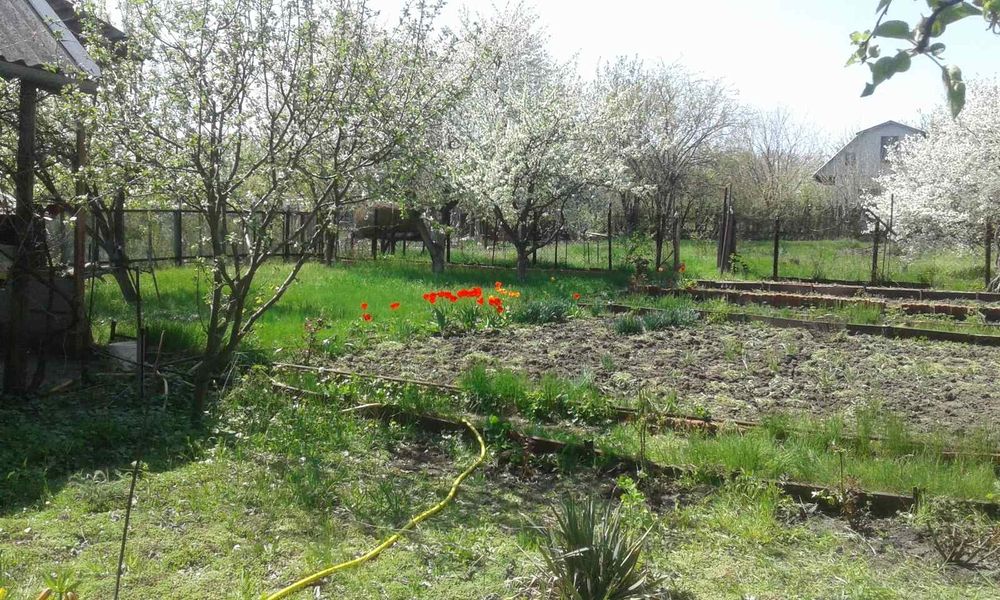 Дача роен Наталівки можливий обмін на авто