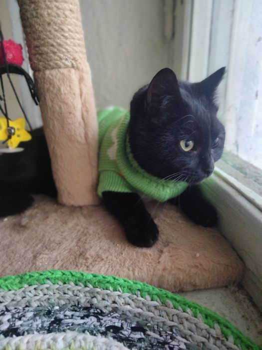 Мамо,знайдись,я тебе дуже чекаю!