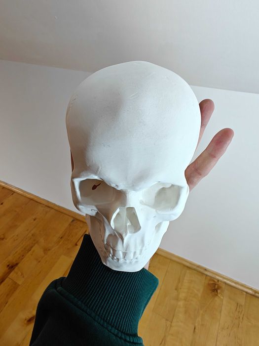 Czaszka Człowieka 3D Anatomicznie realistyczny model