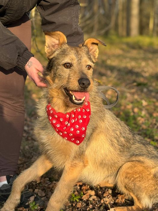 Wesoły dwulatek szuka swojej rodziny