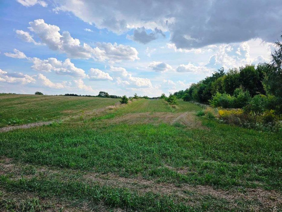 Продаж земельної ділянки с. Липини | 30 сот | під забудову