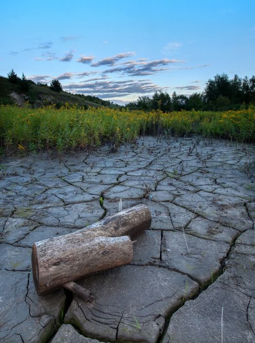 Olympus 70-300,Olympus 14-54,Перехідник 4/3-Micro 4/3