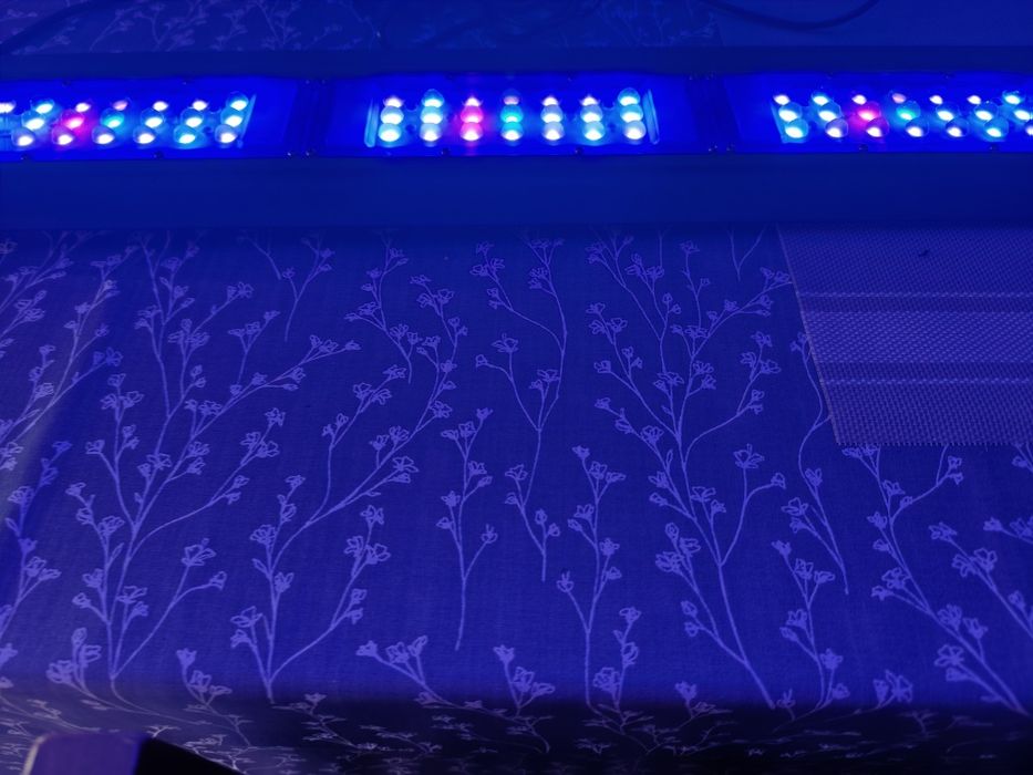 Iluminação Led Aquário