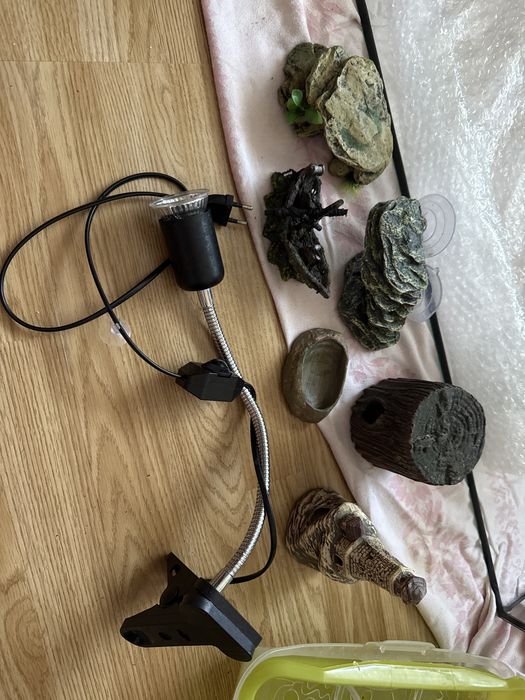 Terrarium dla żółwia wodno-ladowego