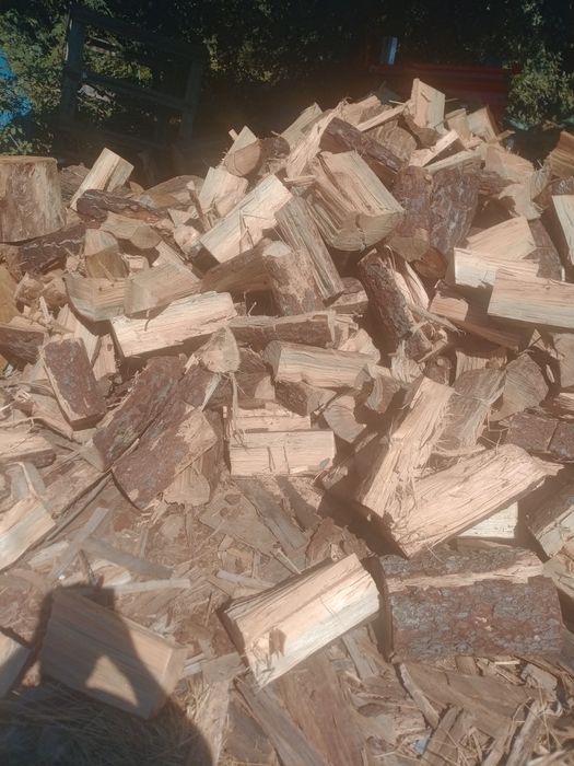 Vendo lenha seca de pinho