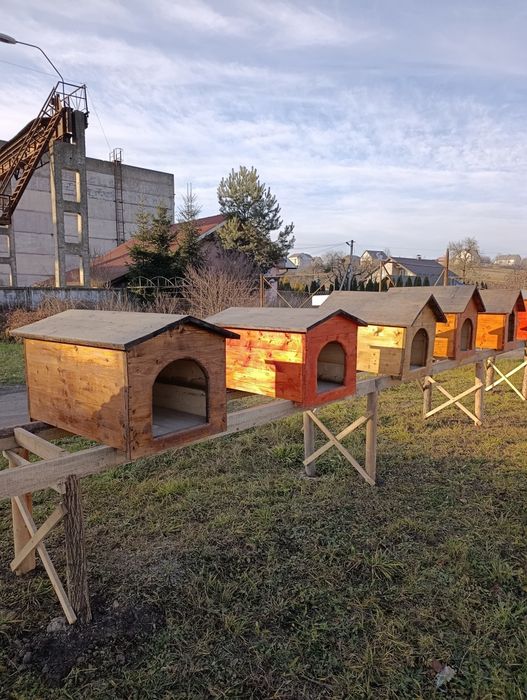 Будка для собак.