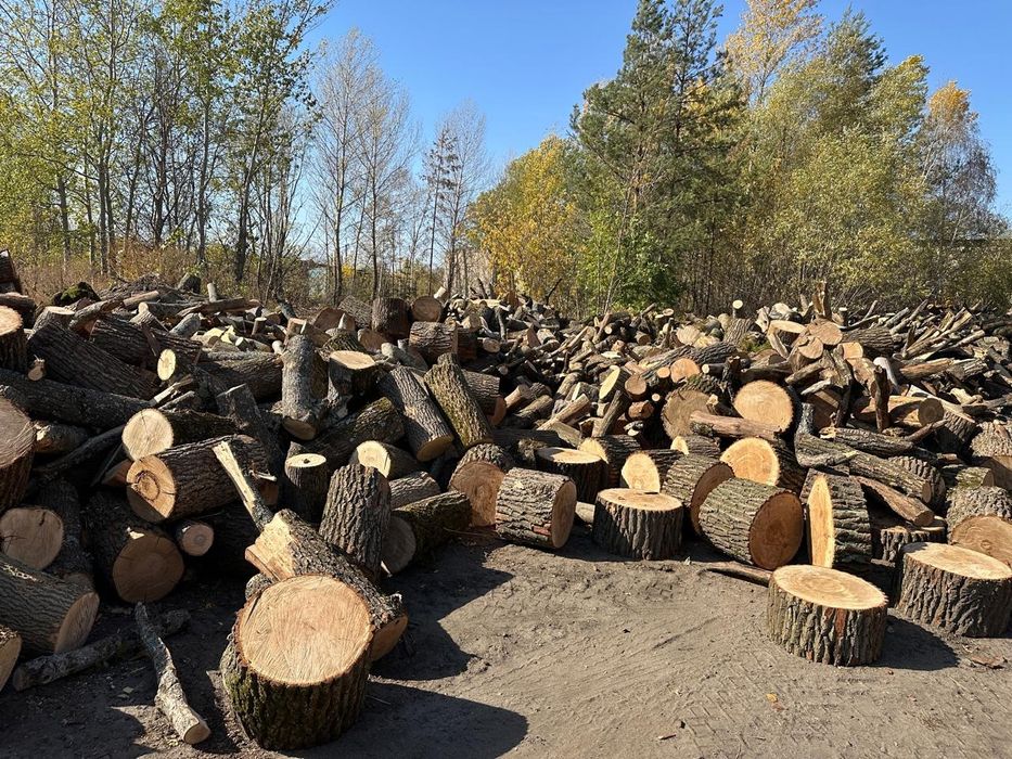 Продам Дрова Оптом и в Розницу
