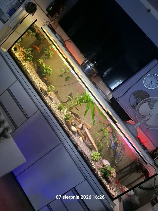 Akwarium 500 L kompletne