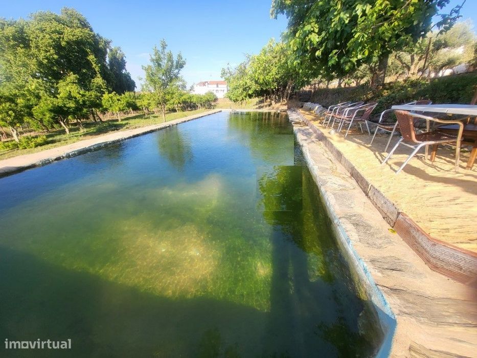 Quinta com 28.250 m2, no centro de Vila Viçosa