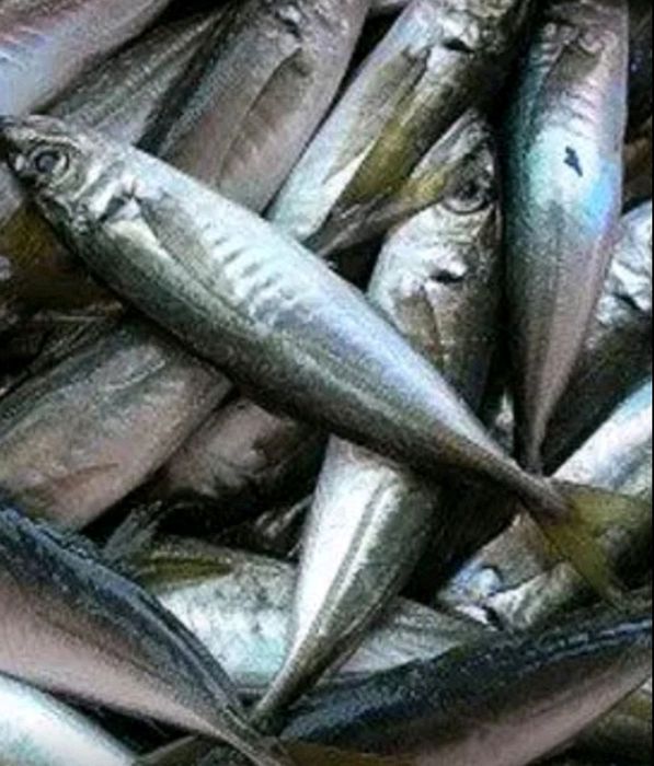 Черноморская креветка,