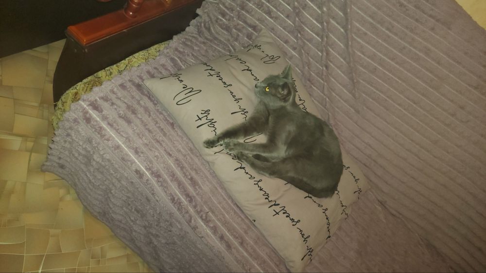 Яся шукає родину