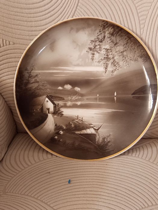 Plate in good condition431237900860149760