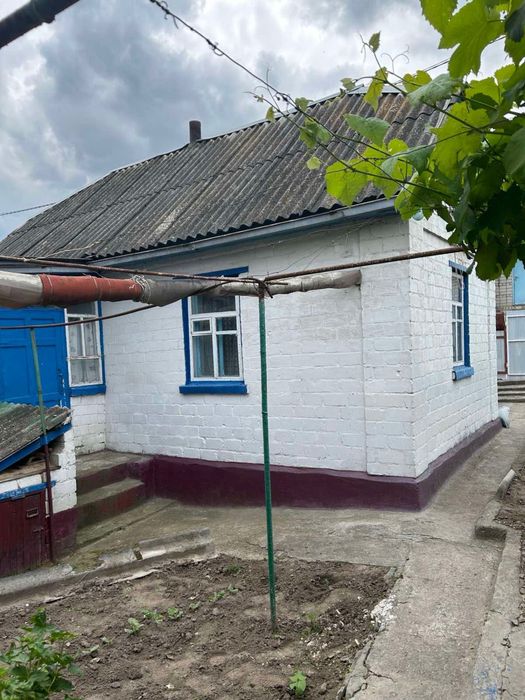 Продаж  будинку Канів Вул. Канівська Газ Санвузол Держпрограми Вільний