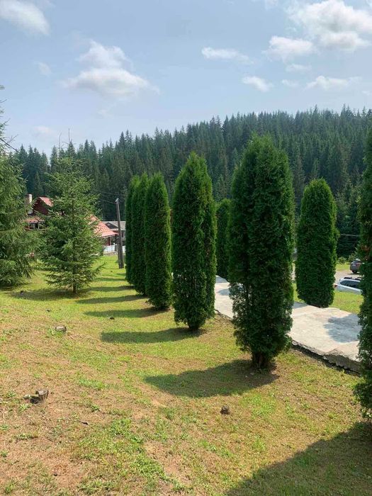 Продам базу відпочинку "Черес", Яблуниця, Карпати.
