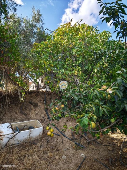 Moradia T2 em Pedra com Charca — Donas, Fundão Uma Rara Oportunidade n