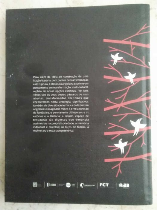 Pássaros de Asas Abertas - – Antologia de Contos Angolanos