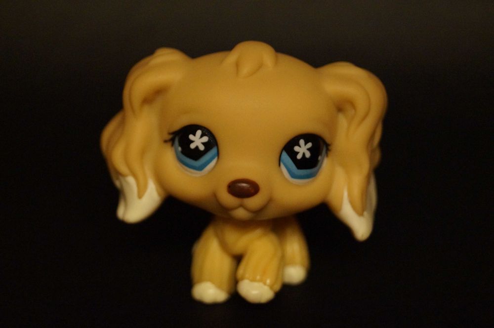 Littlest Pet Shop #748 spaniel LPS pop oryginał 100% oryginalny