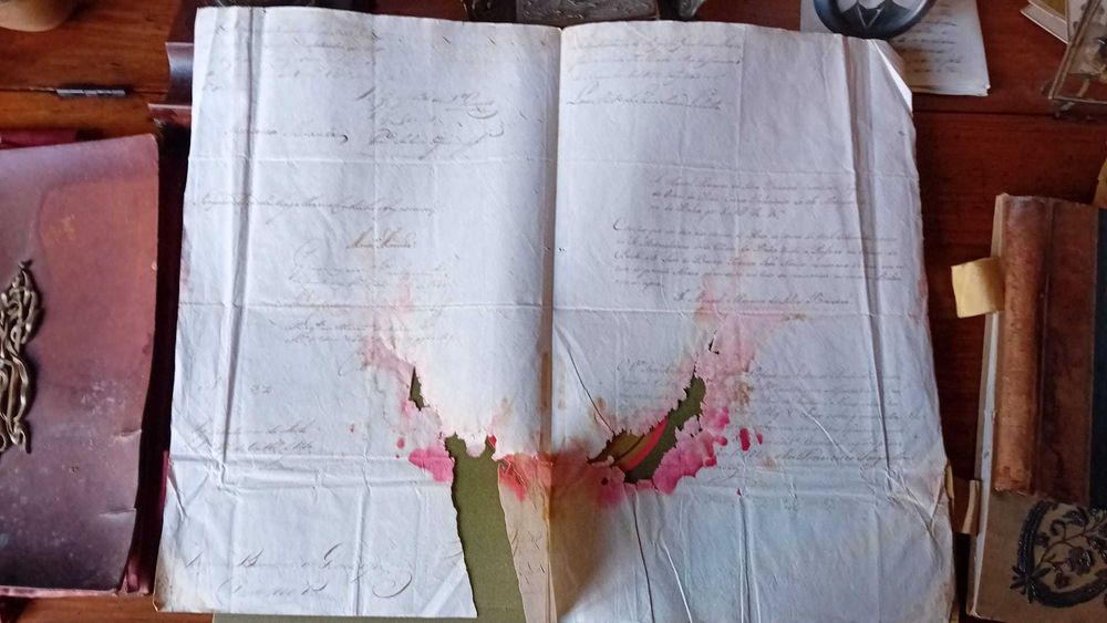 Carta patente real com assinatura do principe regente D. Joao VI 1810