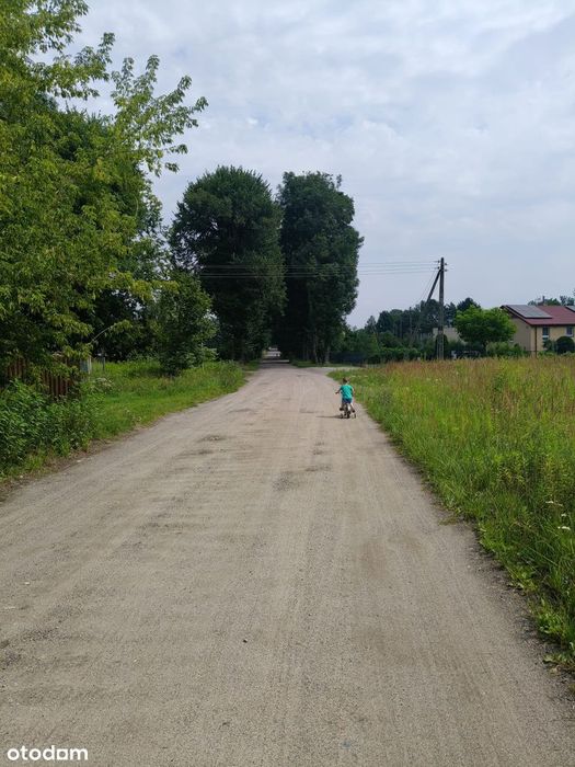 Zdjęcie 3