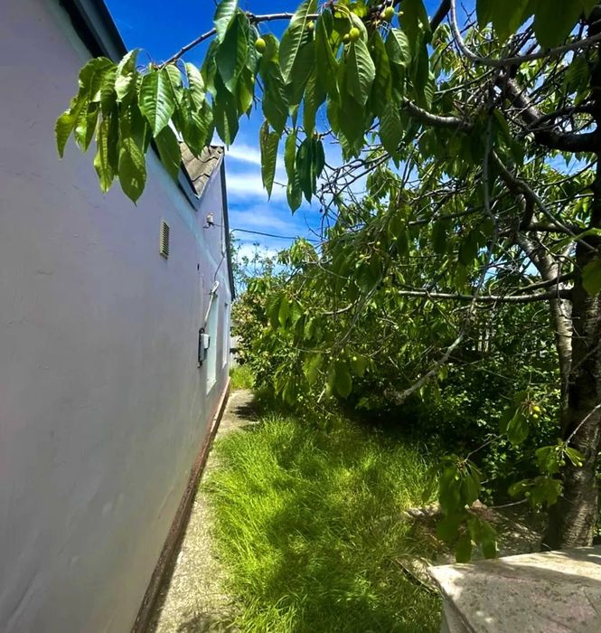 Миколаївська область Михайло-Ларине,Продаж будинку 15 хв від міста