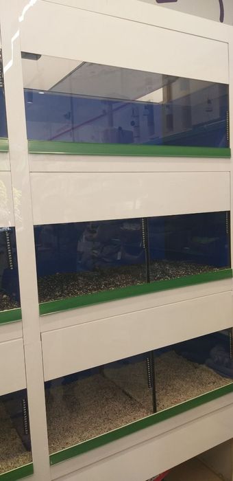 Акваріумна стійка